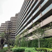 画像1431