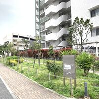画像1441