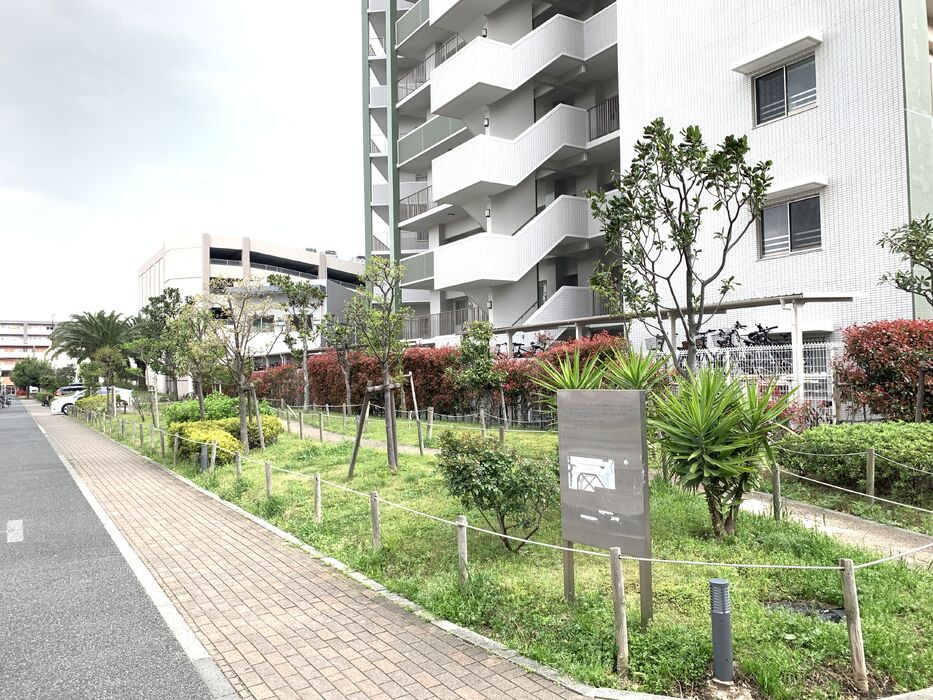 画像1441