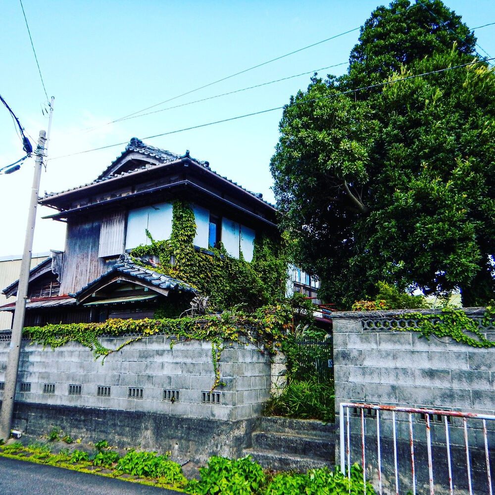 画像1445